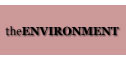 All the information you need about woodburning stoves in the environment
