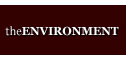 All the information you need about woodburning stoves in the environment